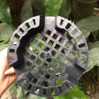 Chậu nhựa trồng lan phi 16 [Giá sỉ]