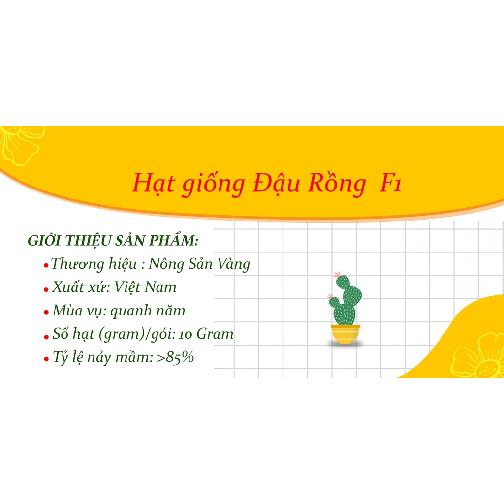 Hạt giống Đậu Rồng ( Gói 10 Gram ) - Nông Sản Vàng