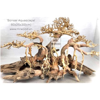 Lũa Bonsai Ba Thân Cho Hồ Thuỷ Sinh- Cao 30 Dài 60- Xưởng Lũa Mr Wood