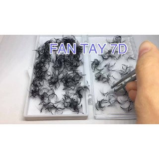 Mi Fan 7D Cong C , D , CC - Lông Mi Tạo Fan Sẵn Hani Chân Keo Nhỏ
