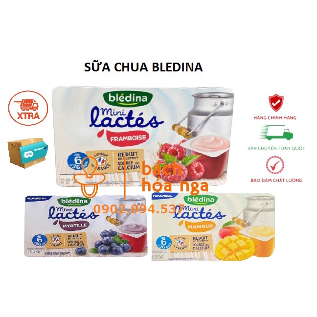 Vỷ 6 Hộp Sữa Chua Nguội Bledine Pháp Cho Bé