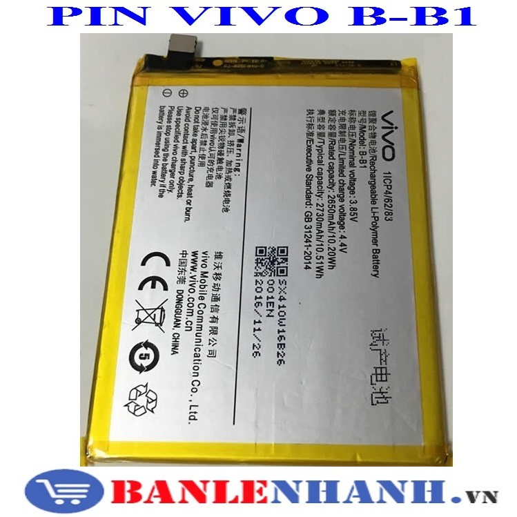 PIN VIVO B-B1