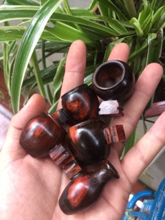 Cóng khuyên