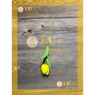 Cành hoa Tulip, Uất Kim Hương cao su non cao cấp | LU