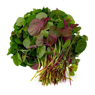 Rau Rền Tươi (1 mớ khoảng 500gram)