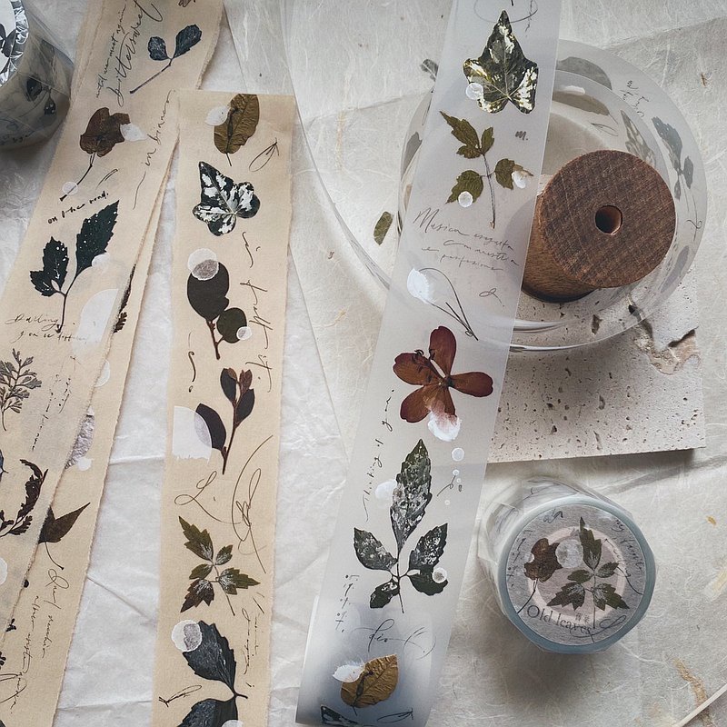 Meohime 𓃠 Hãng MrEggplants - Băng dán PET tape lá khô Old leaves