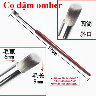Cọ dặm omber