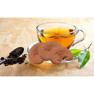 Hộp Trà Linh Chi Nhất Long (hộp đặc biệt 10 gói)