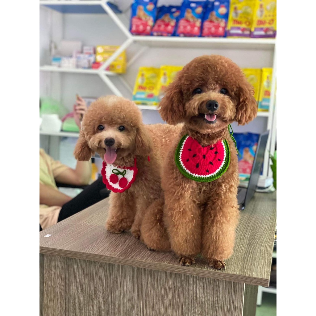 Yếm len trái dưa hấu cho chó mèo vòng cổ cho thú cưng