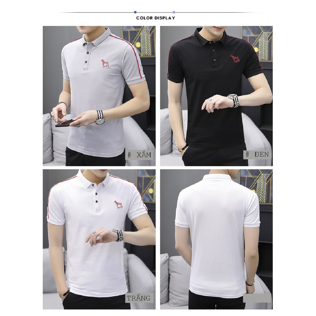 Áo Phông body cao cấp ngắn tay -Thiết kế theo phong cách hàn quốc AP00004 | BigBuy360 - bigbuy360.vn