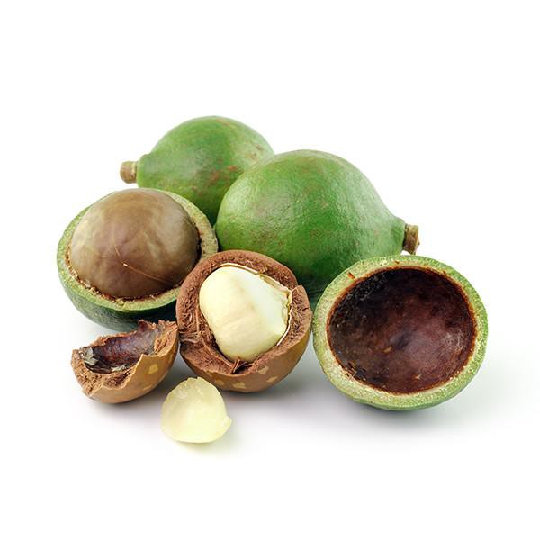 Dầu mù u mờ thâm mụn siêu nhanh OOH Tamanu Rejuvenating Face Oil | BigBuy360 - bigbuy360.vn