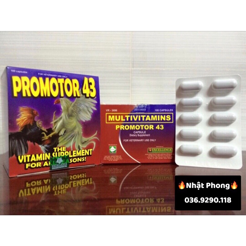 PROMOTOR 43 -