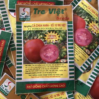 cà chua tre Việt số 10 gói 5g