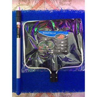 Vợt cá rồng cá koi 30*35cm, cán kim loại 50cm kéo dài 80cm chắc chắn