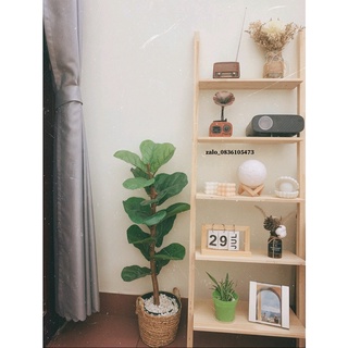 Kệ gỗ để đồ 5 tầng