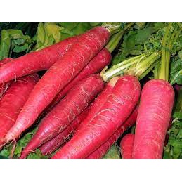 5 Gram Hạt Giống Cà Rốt Ruột Đỏ Tươi ngon