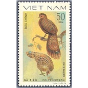 Tem sưu tập MS 354 Tem CTO Việt Nam Chim lông đẹp 1979.