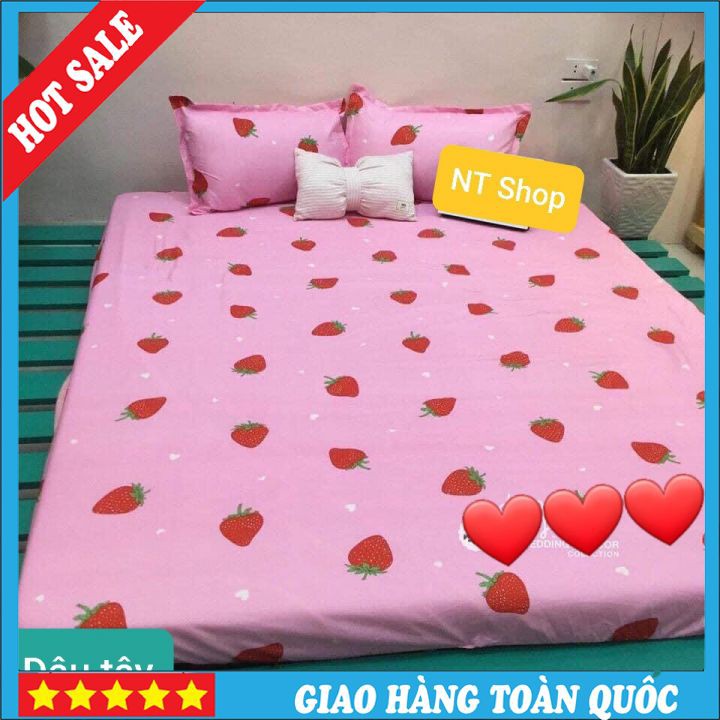Bộ Chăn Ga Gối Hè Thu Cotton 5 Món Hồng Dâu Tây Dễ Thương ( chat chọn size )