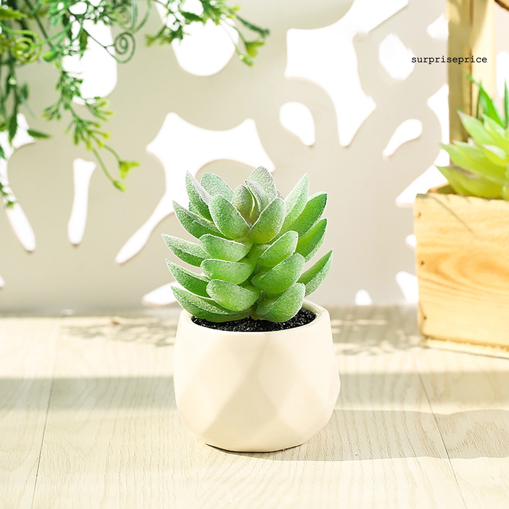 Chậu cây sen đá giả mini nhiều màu sắc trang trí nhà cửa