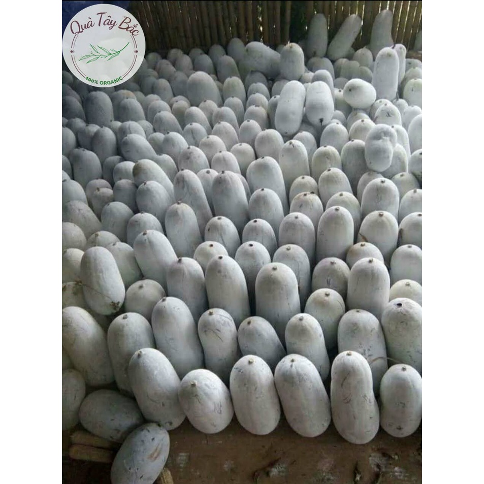 Bí phấn thơm Bắc Kạn quả 2kg