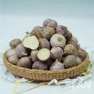 Combo 2kg tỏi cô đơn loại sấy khô tỏi cô đơn lý sơn loại khô