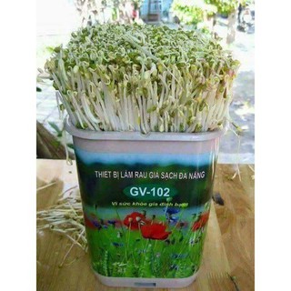 máy làm giá đỗ sạch tại nhà