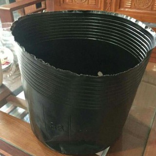 1kgtúi bầu ươm Cây màu đen các size to( chọn size)