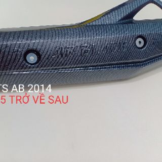 ỐP CẢNG / CHE PÔ AB 2013+2019 carbon