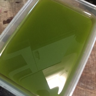 Combo 1kg bột thạch găng + Túi vải lọc