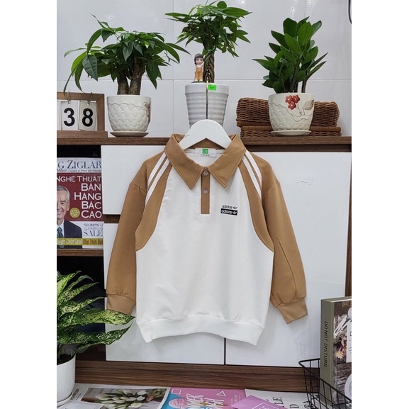 áo phông cổ bẻ shopee live