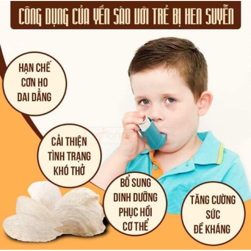 [ Hàng có sẵn ] Yếng đường phèn _ Yến sào hoàng việt (70ml) | BigBuy360 - bigbuy360.vn