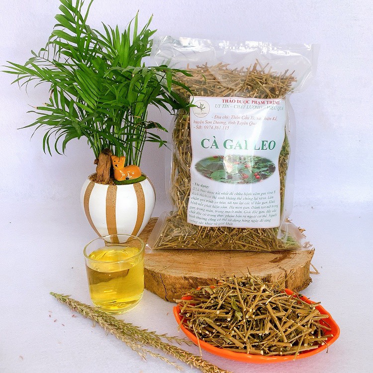 Cà gai leo khô, xao vàng hạ thổ, mát gan, giải độc, thanh nhiệt. 1kg