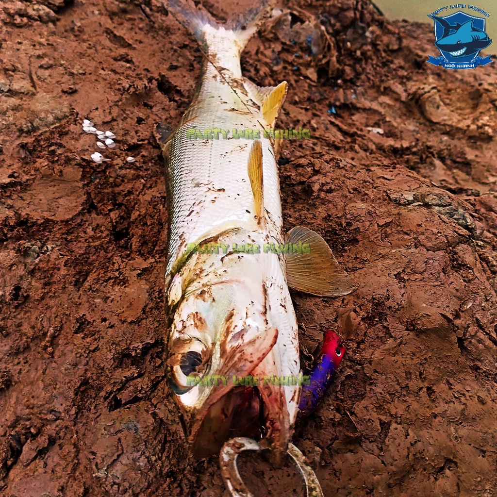 Mồi câu lure Target Komodo 65F , mồi giả câu cá chẽm, măng, chéc, cháo, mú