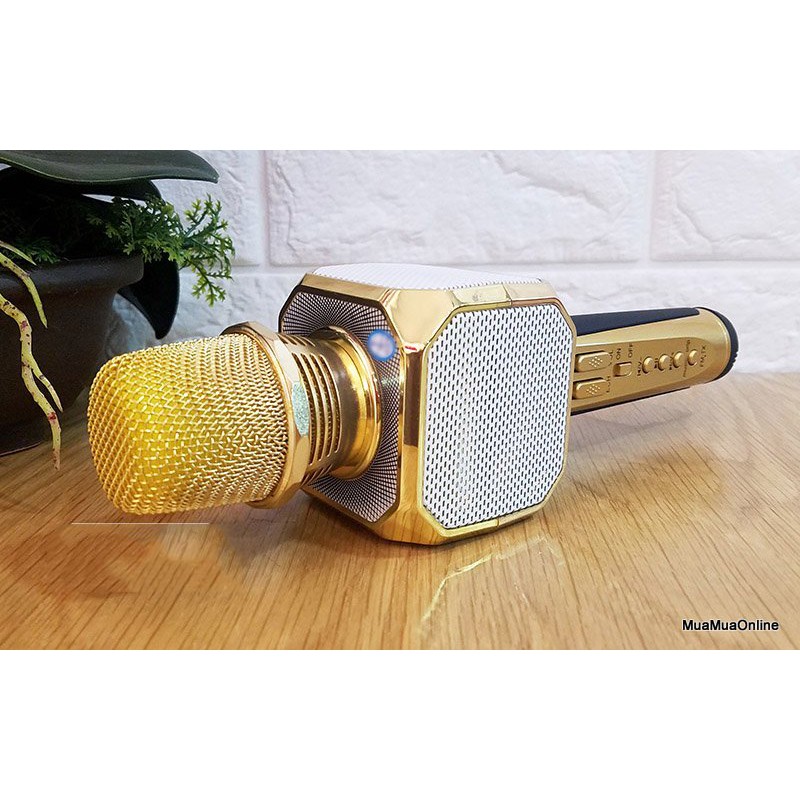 Micro Karaoke Không Dây SD 10 Cao Cấp