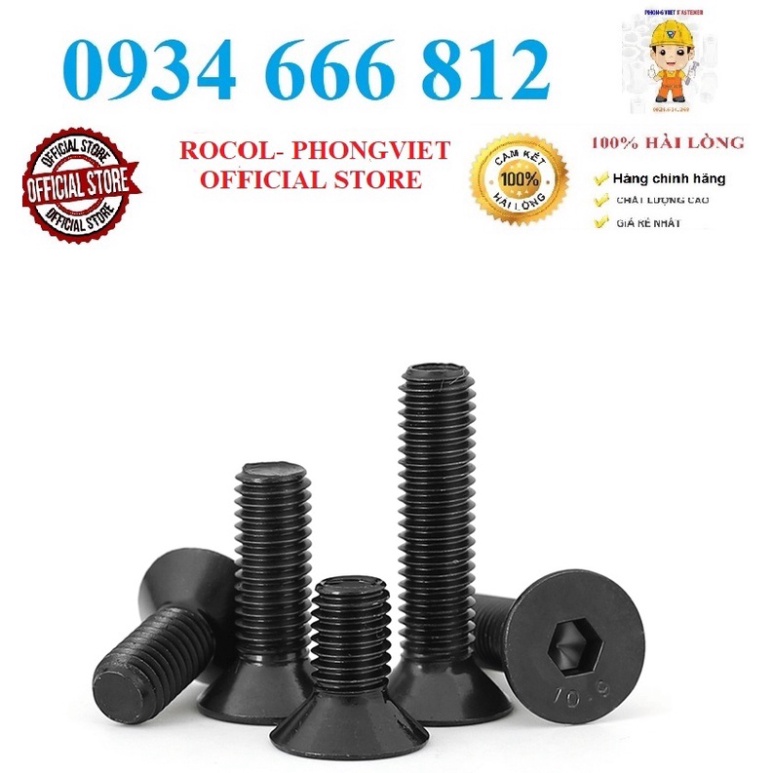 Set 50 cái và 10 cái M6 Bulong lục giác chìm đầu bằng M6 thép mạ cấp bền 10.9 M6