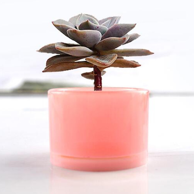 Khuôn Silicone Làm Chậu Trồng Cây Mọng Nước 4 Lỗ Tiện Dụng