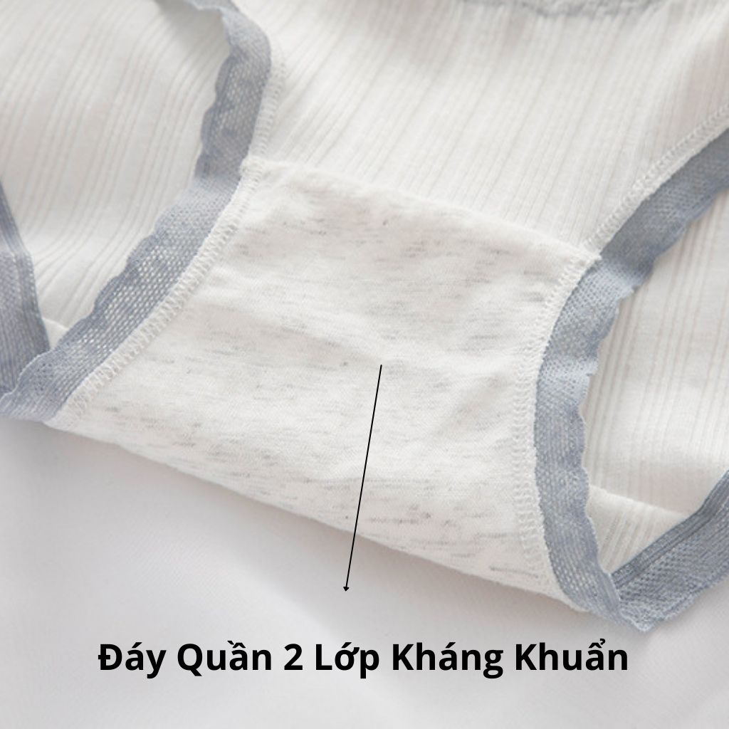 [Có Size XL] SET 5 Quần Lót Bigsize Chất Cotton Mềm Cạp Thấp Cute Đóng Hộp TOPBRA