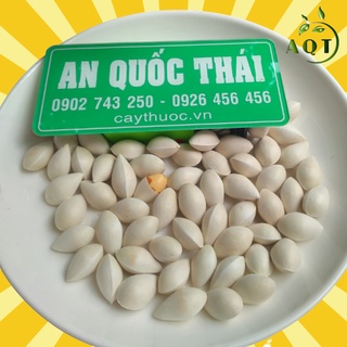 Bạch Quả Tươi [LOẠI 1] 1KG Nguyên Vỏ To, Chắc, Hạt Bạch Quả Nấu Chè, Rang Muối, Hầm Gà Siêu Ngon