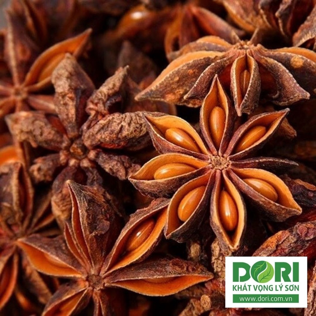 Hoa hồi sấy khô - Dori Thơm 70g - Gia vị khô - Star anise VietNamese spices