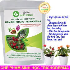 Nấm Đối Kháng Trichoderma Bacillus dùng phun xịt cho hoa lan, hoa hồng  kiểm soát nấm bệnh, hạn chế vàng lá... gói 200gr