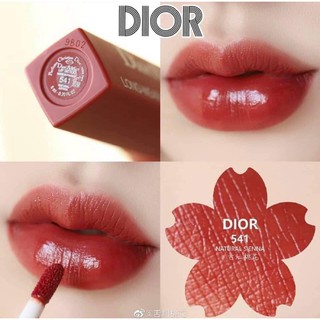 SON DIOR ADDICT LIP TATTOO MÀU 541 CÓ SẴN