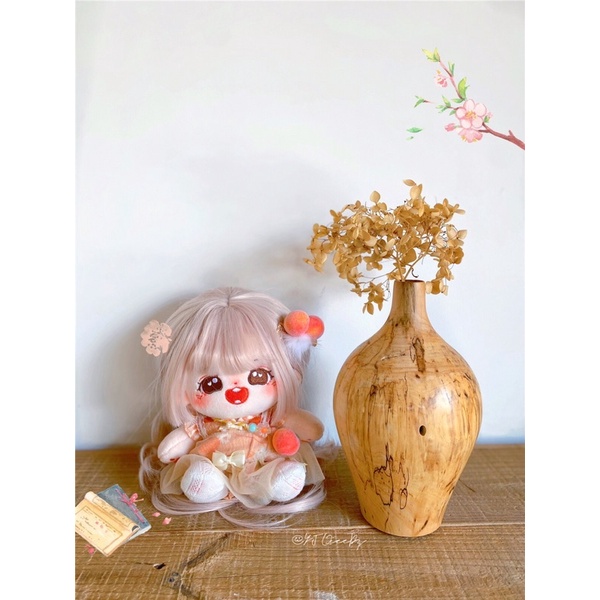 Outfit 20cm Chi Chi Đào Đào Set 5 Món