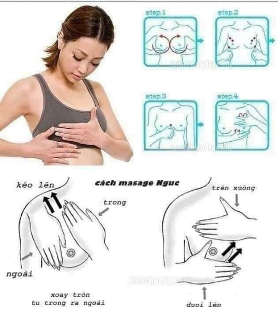 Kem nở ngực Herbal chính hãng Thái Lan 👍🏻 | BigBuy360 - bigbuy360.vn