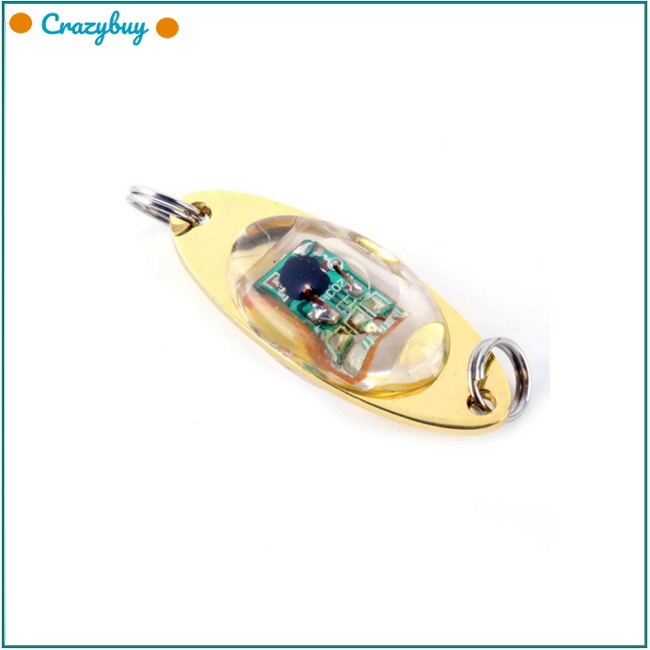 Cr Đèn LED Bắt Cá Hình Con Mực Độc Đáo Tiện Dụng