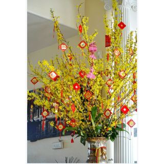 Trang Trí Tết: COMBO 20 LÌ XÌ TREO TRANG TRÍ TẾT , CÂY CẢNH, NHÀ CỬA