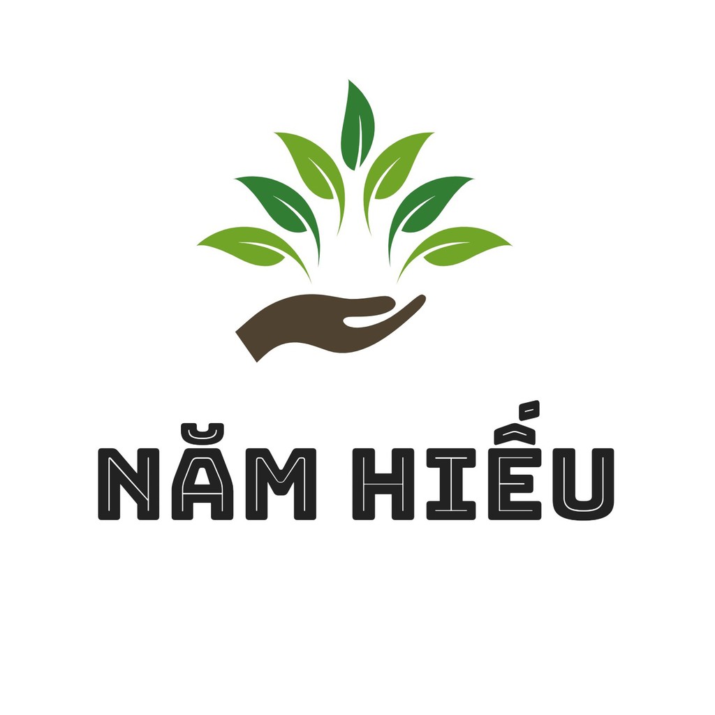 bvtvnamhieu