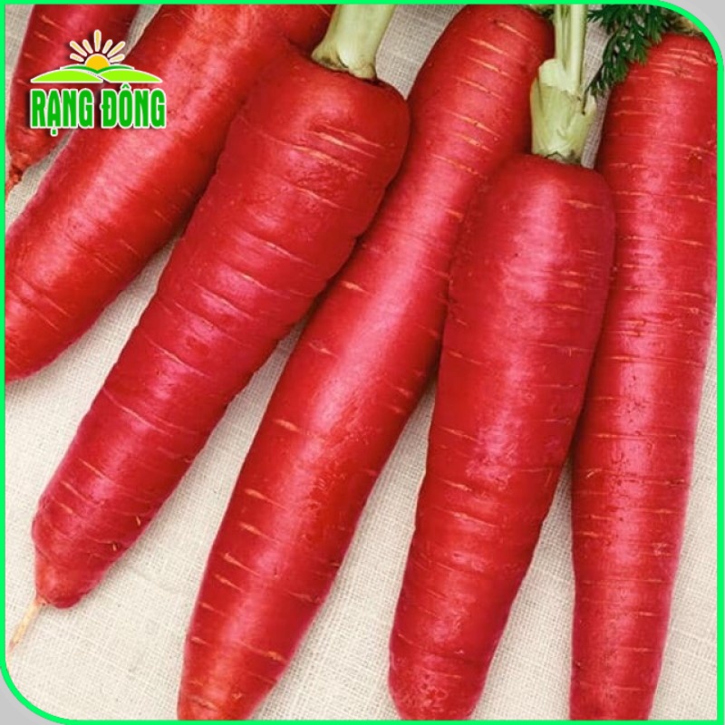 Hạt giống Cà Rốt Đỏ dễ chăm sóc, trồng quanh năm, củ to, dài (gói 5 gr) - Hạt giống Rạng Đông