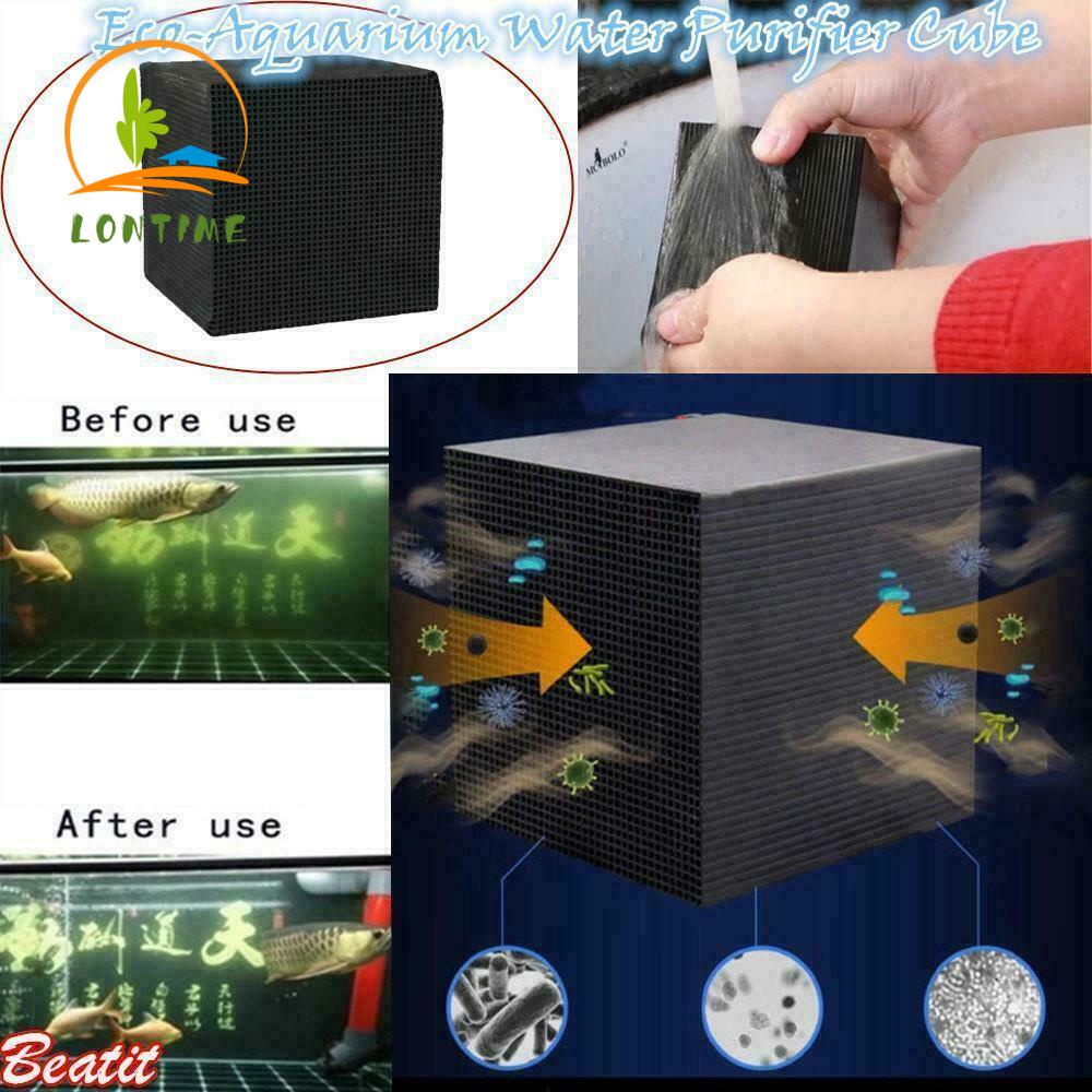 Khối Than Hoạt Tính Lọc Nước Bể Cá Thân Thiện Với Môi Trường
