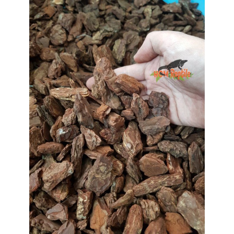 Gỗ thông lót chuồng bò sát (túi 1kg)