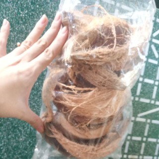 sơ dừa miếng trồng lan/ lót châu